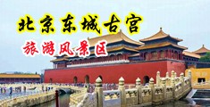 男人的鸡插女人鸡网站中国北京-东城古宫旅游风景区